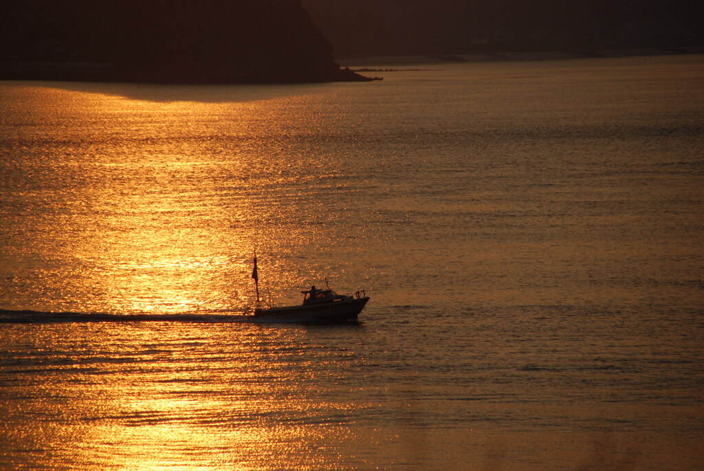 今日は、大魚。。。？