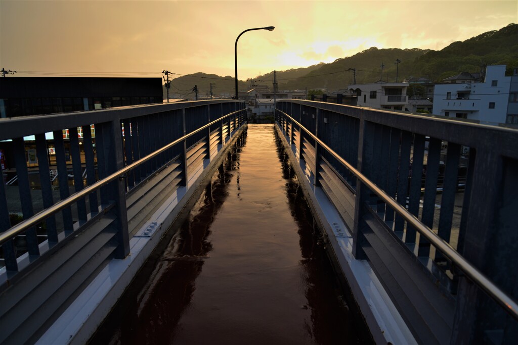雨の歩道橋　②。。。！