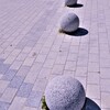 恐竜のたまご。。。！