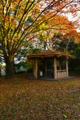 秋色のベンチ　➁。。。！