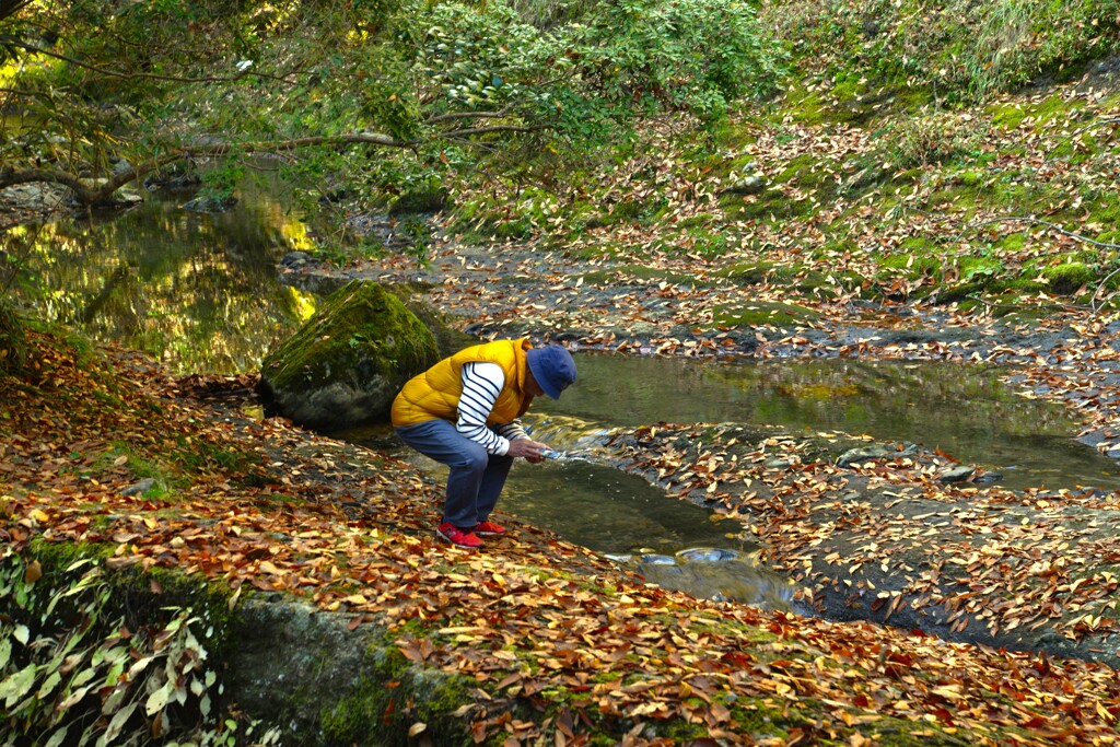 秋のぬすびと　①。。。！