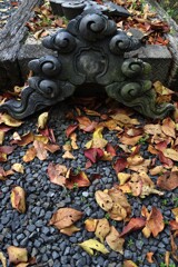 里の秋　①。。。！