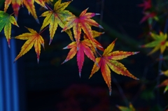 華やか化粧。。。！