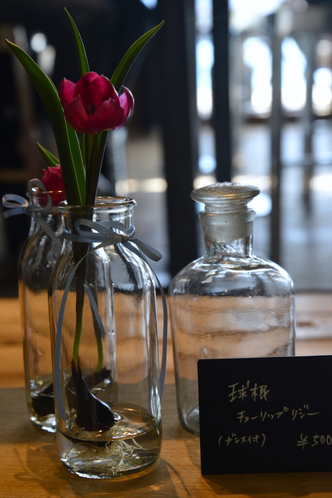 尾道の香り　⑤。。。！