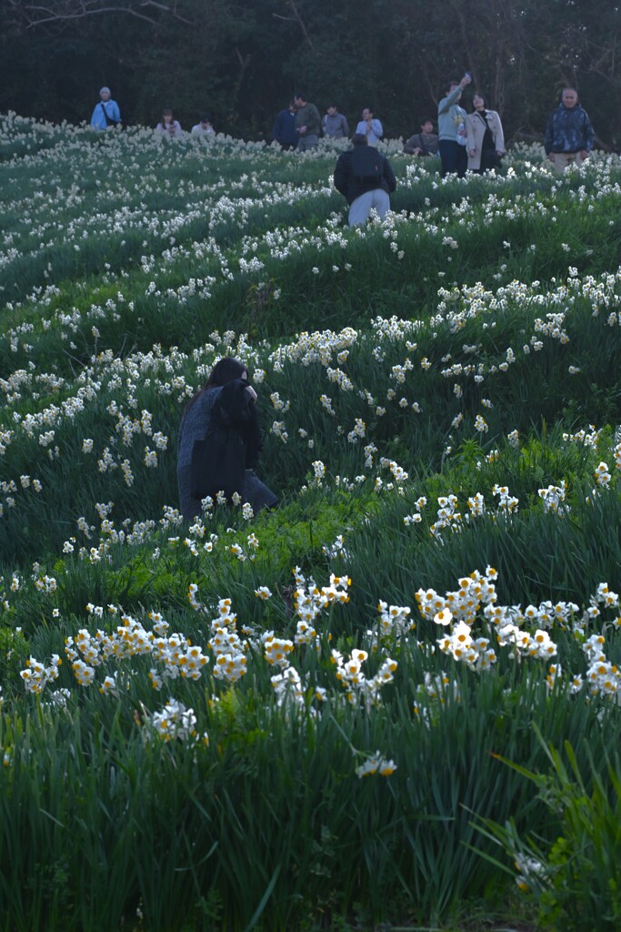 白い丘で逢いましょう　⑥。。。！