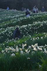 白い丘で逢いましょう　⑥。。。！