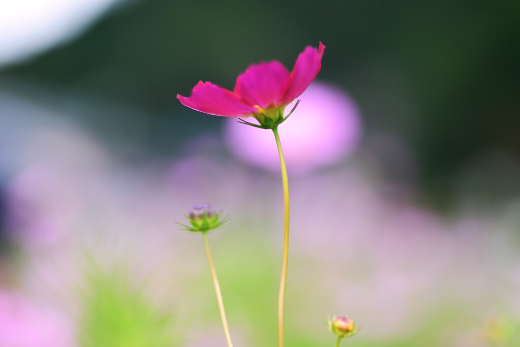 この秋をありがとう　①。。。！