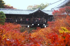 秋を愛でる人々　。。。！