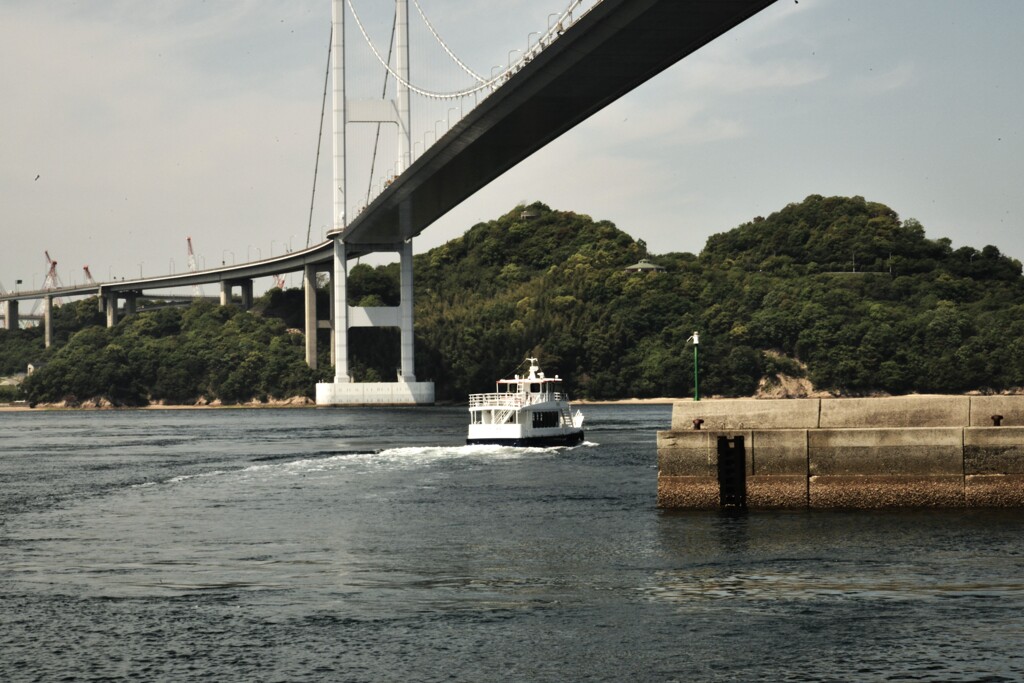 瀬戸の島巡り　①。。。！