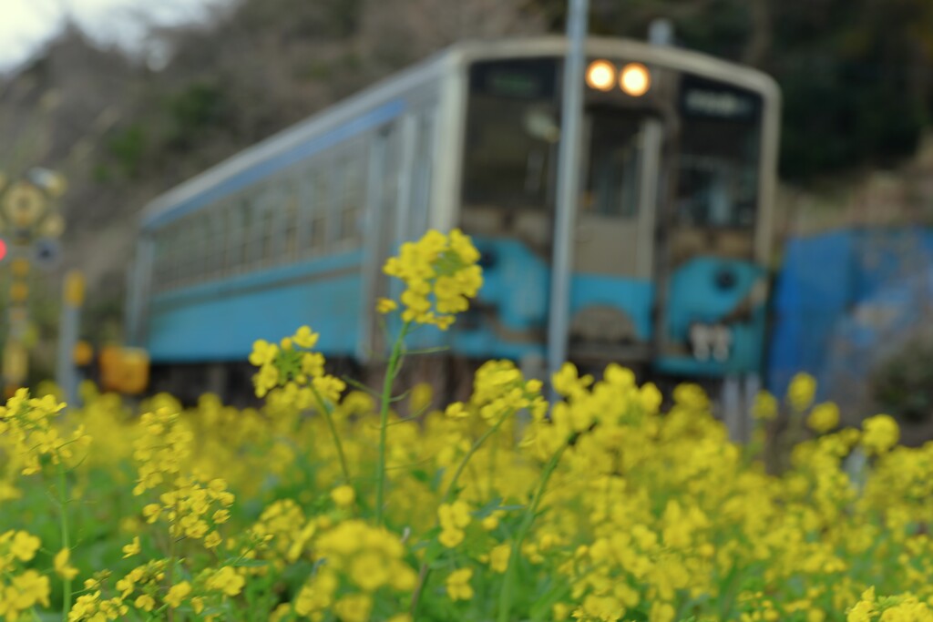 春風に乗って　④。。。！