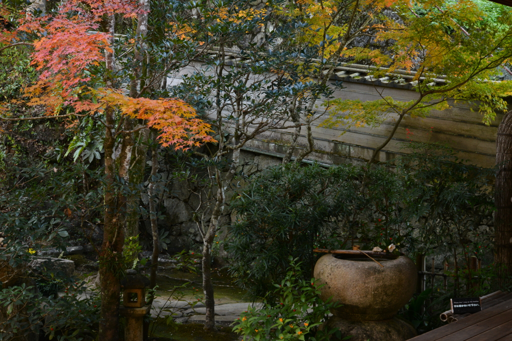 大洲臥龍山荘の秋　②。。。！