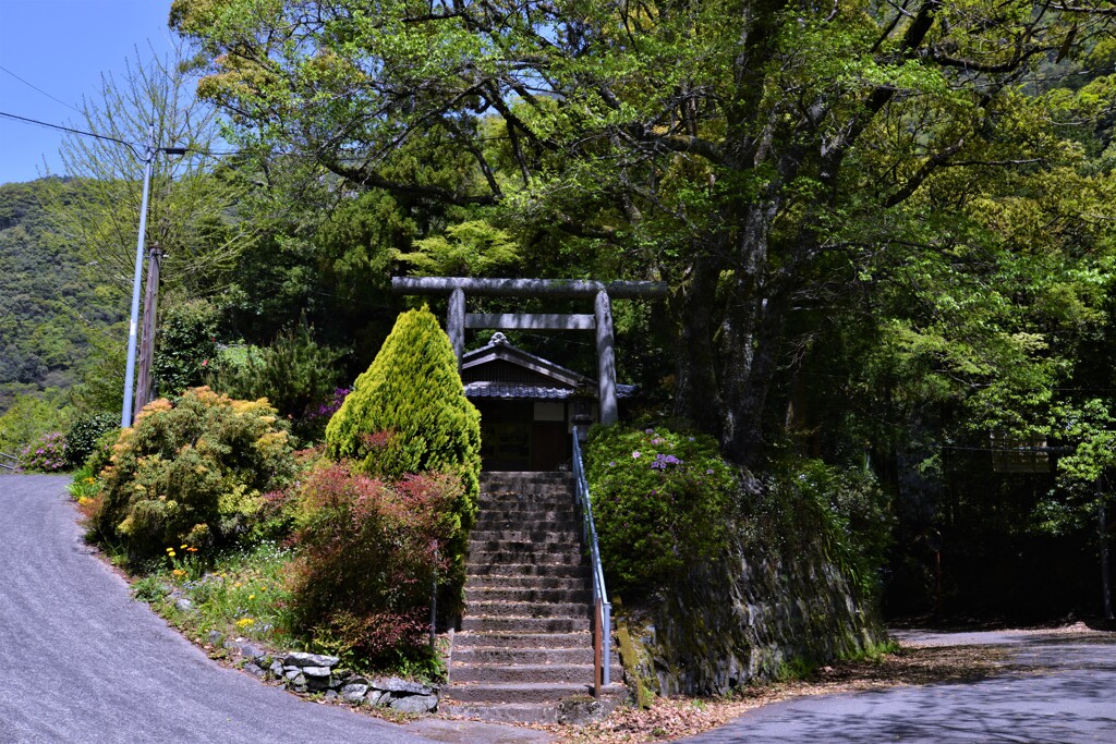 新緑を旅する　⑥。。。！