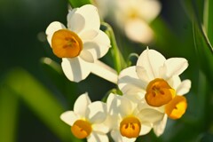 冬の光の中で　①。。。！