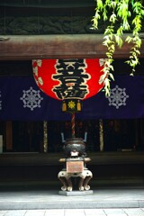 静かな世界　②。。。！