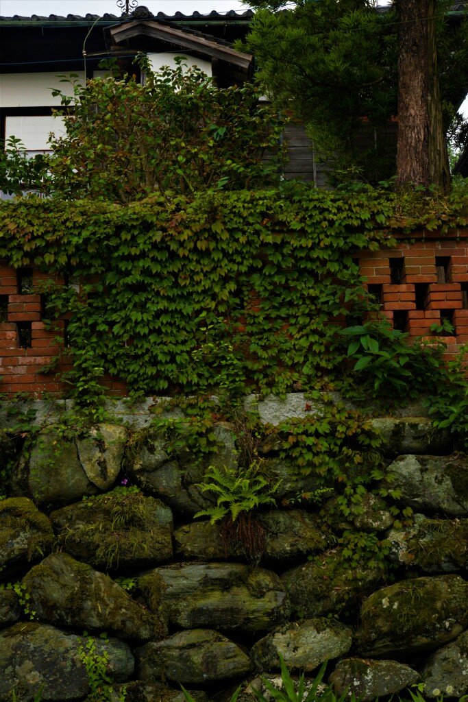 梅雨の似合う家　②。。。！