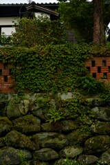 梅雨の似合う家　②。。。！