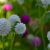 穏やかに包まれて．．コロナより復帰　➂。。。！