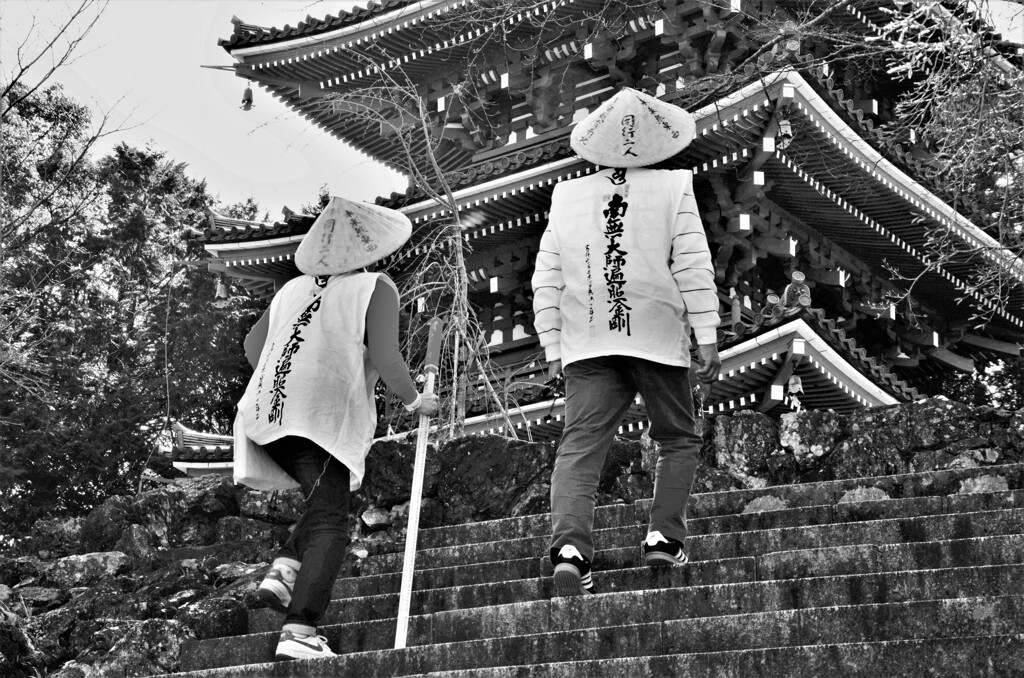 春遍路～同行二人。。。！