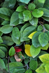 みどりの日　②。。。！