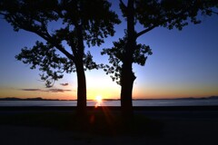 寄り添い夕陽を見つめる　。。。！