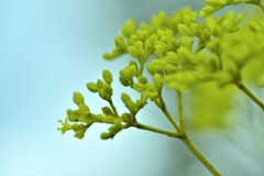 悲しみの彩。。。！