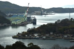 迎春の来島大橋　⑤。。。！