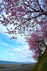 春風に乗って　①。。。！