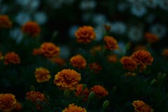 私の主張　➂。。。！