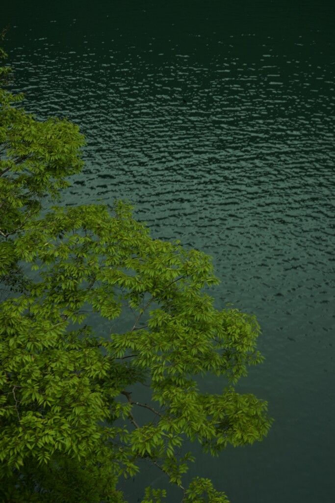 静かな湖畔　➂。。。！