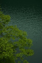 静かな湖畔　➂。。。！