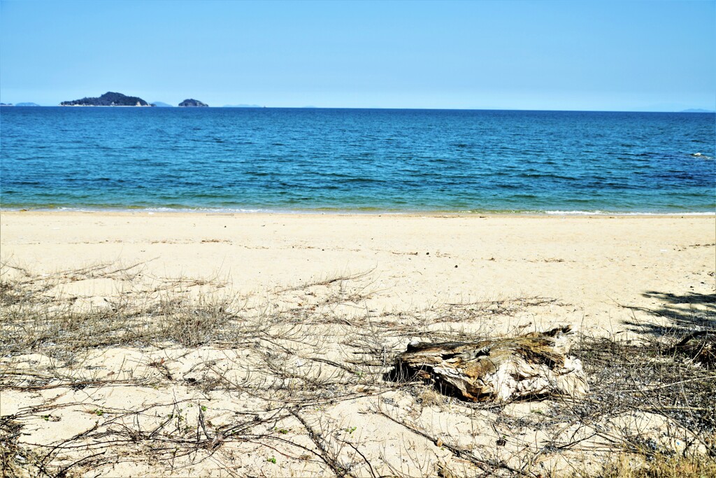 ２３ｓ夏が来る　⑤。。。！