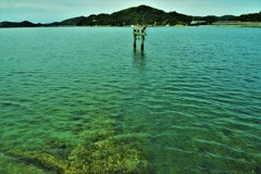 龍神社と海中鳥居　①。。。！