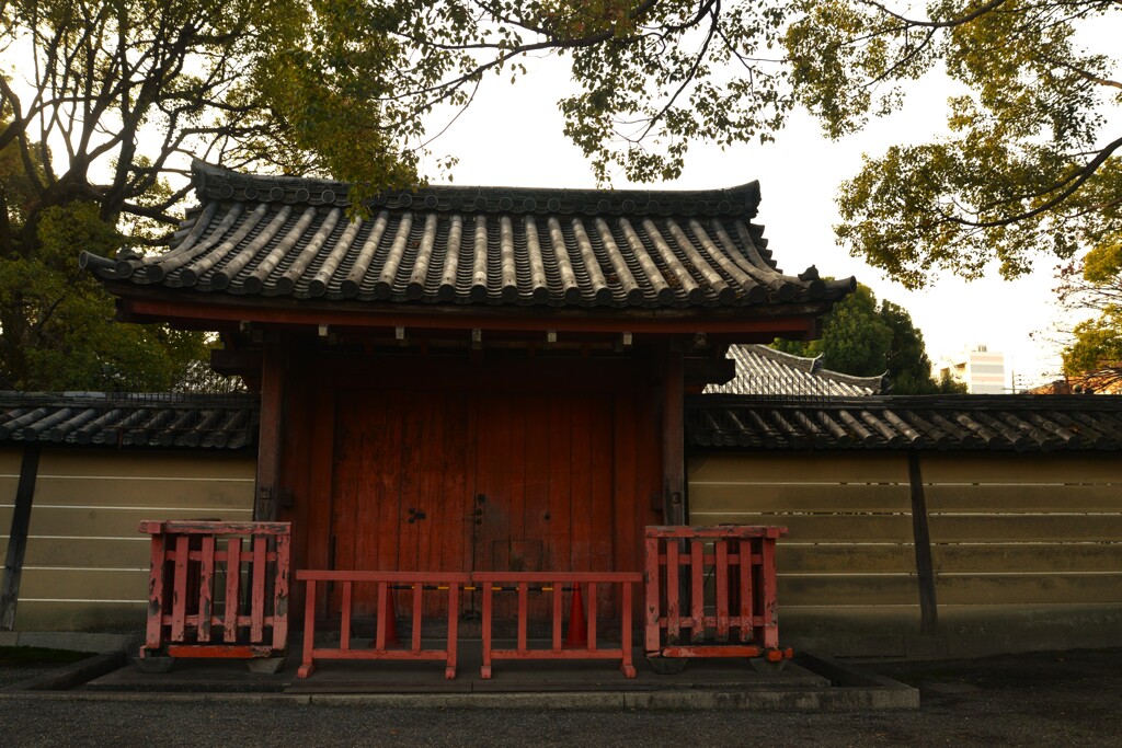朝の東寺　④。。。！