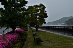 雨に煙る公園。。。！