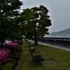 雨に煙る公園。。。！