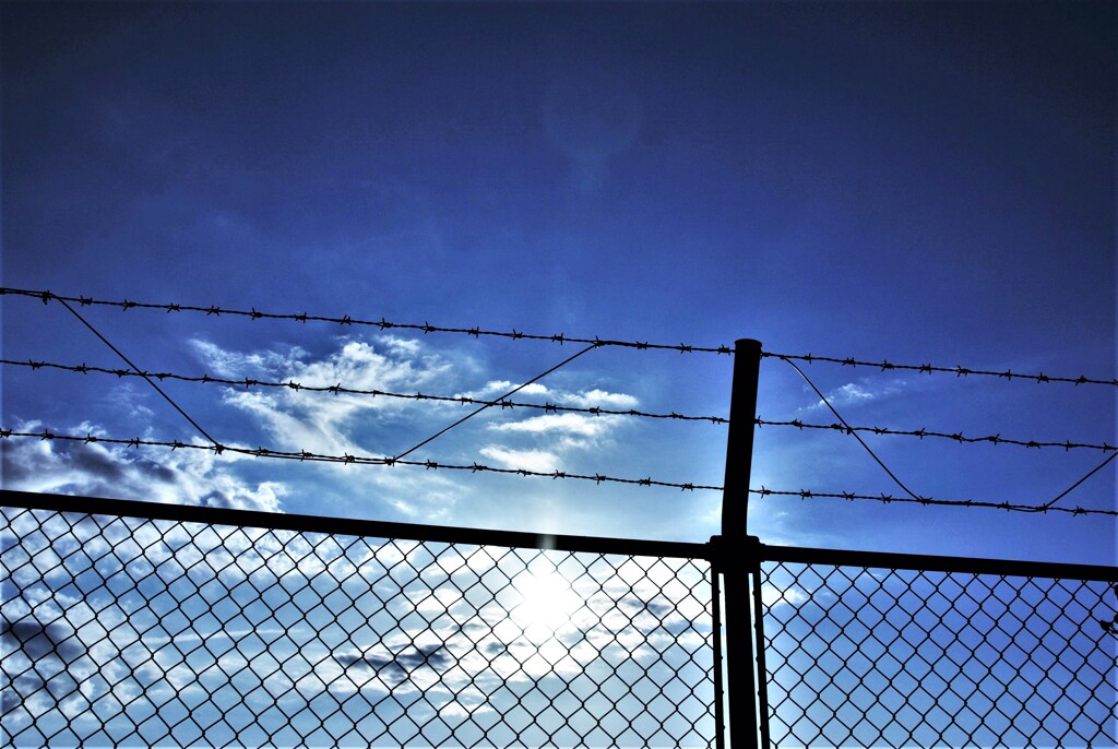 フェンス越しの晴れ間。。。！