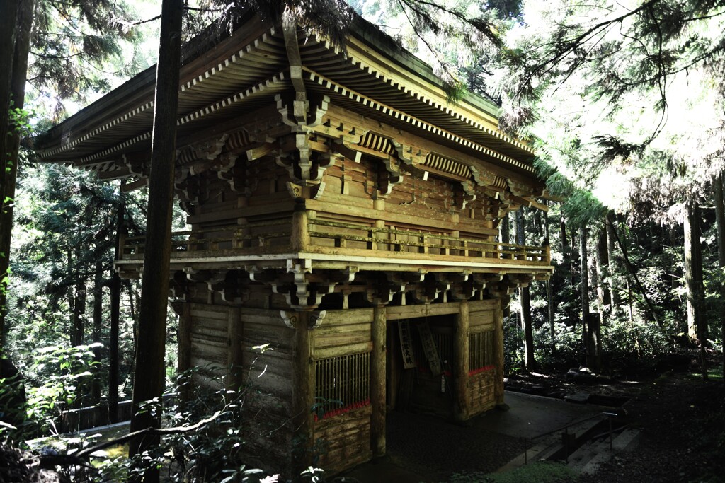 山に抱かれた山門　⑤。。。！