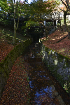 見上げる通天橋。。。！