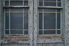 老いて行く美しさ　➂。。。！
