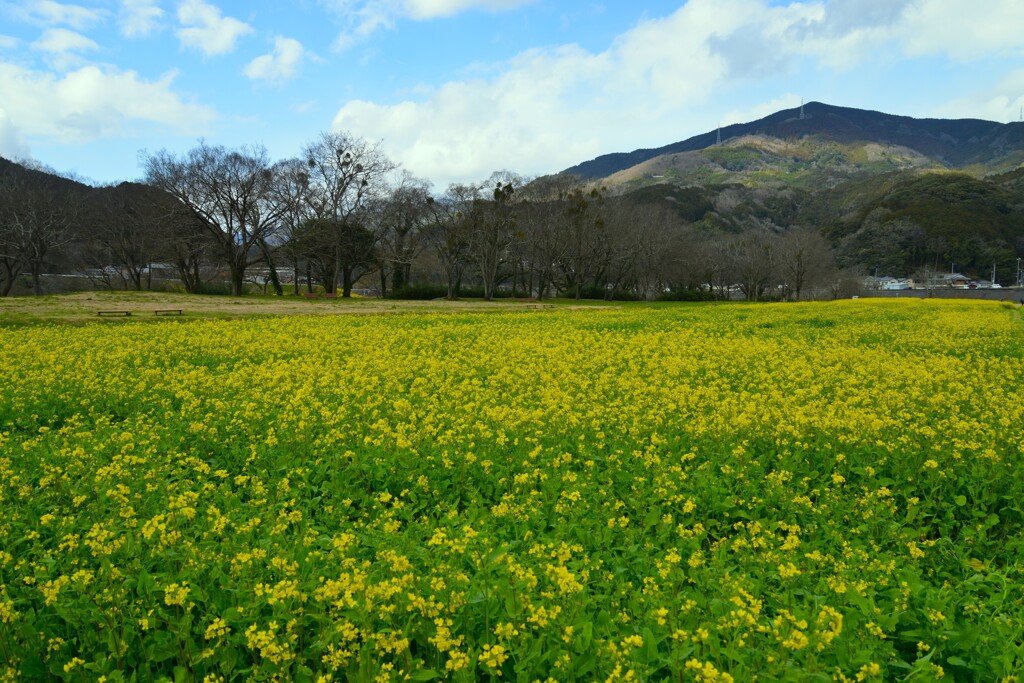 赤橋の下で　➁。。。！