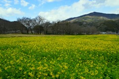 赤橋の下で　➁。。。！
