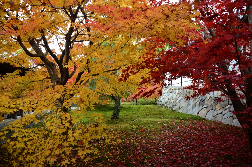 錦絵の世界。。。！