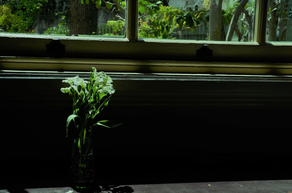 窓辺で、ひとり想うこと。。。！