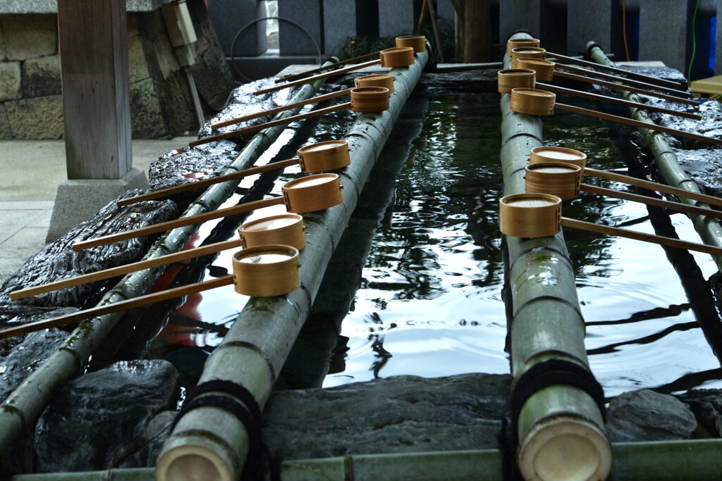 初詣．．椿神社　⑤。。。！