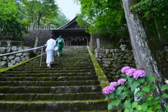 五月雨の山寺　➂。。。！