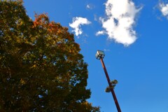 秋空百景　②。。。！