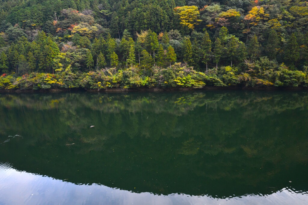 秋の湖水　➂。。。！