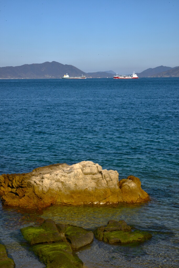 瀬戸に春来たる　➂。。。！