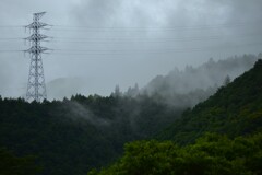 嵐のあと　②。。。！