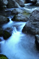 涼を求めて　④。。。！